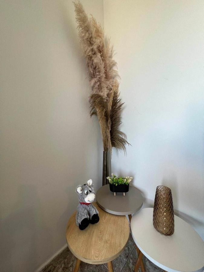 Beach Apartment Edem First Floor Περίβολος Εξωτερικό φωτογραφία